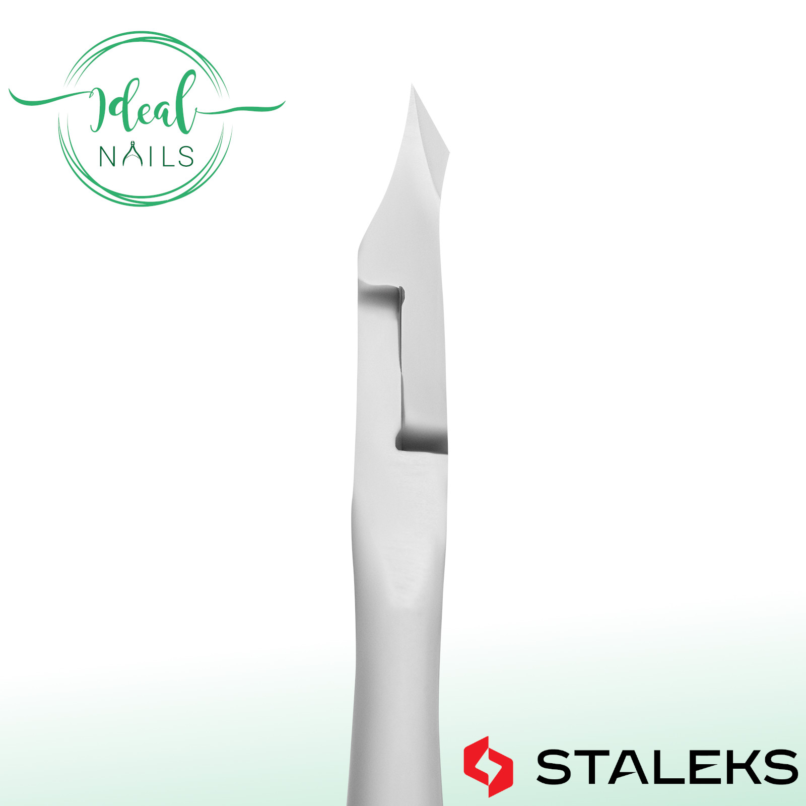 NS-50-5_2-jpg NS-50-5_2.jpg